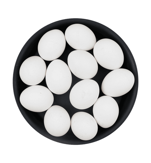 Fresh Eggs White eggs